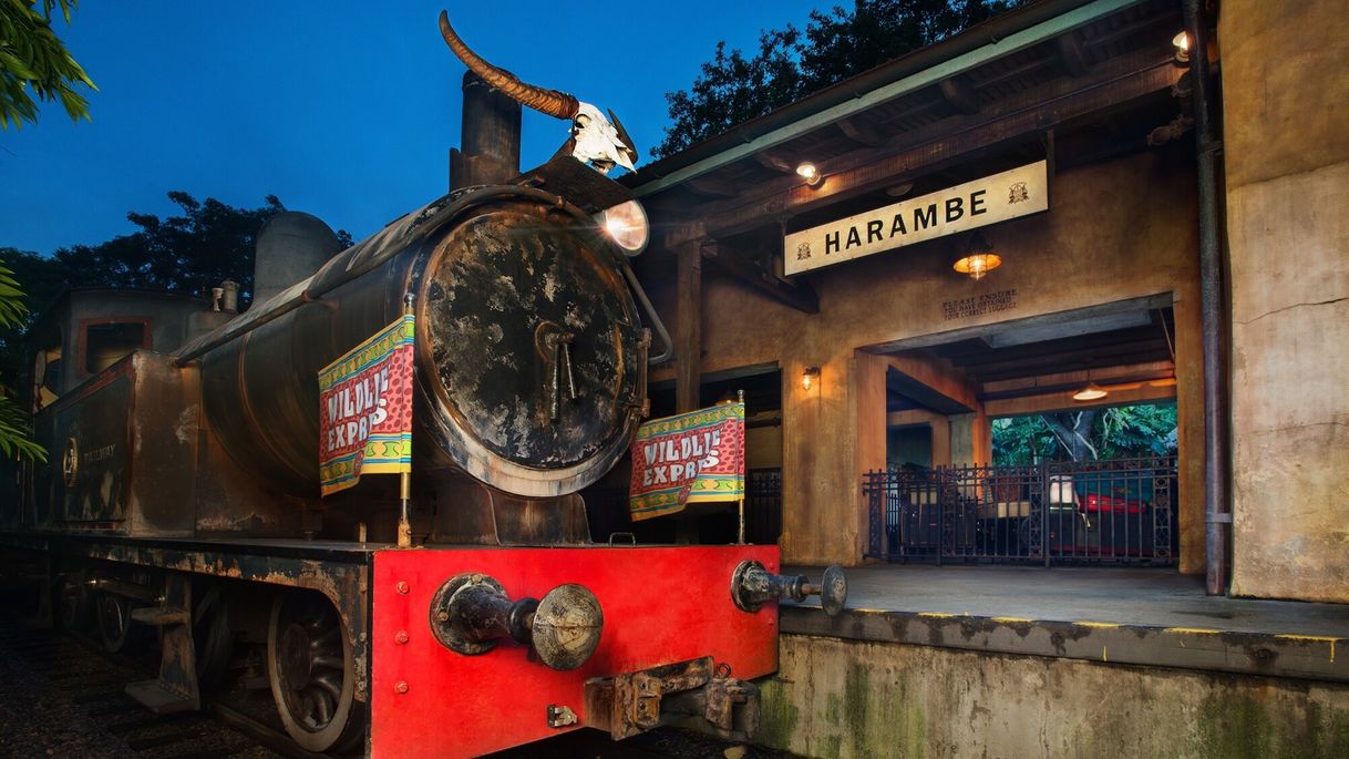 Lugar Wildlife Express Train - Harambe, Africa