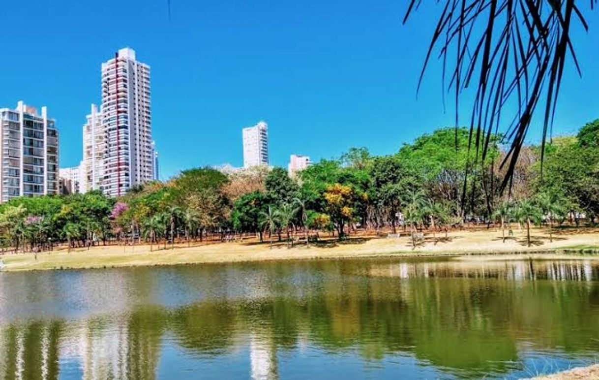 Place Parque Vaca Brava