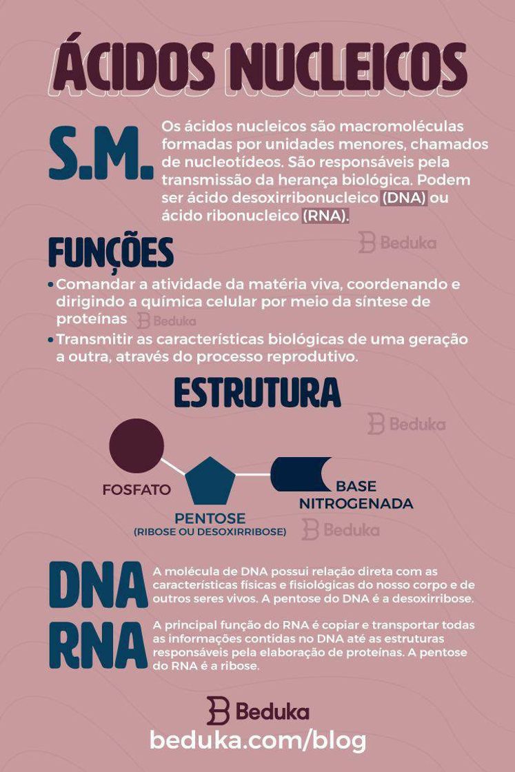 Fashion biologia