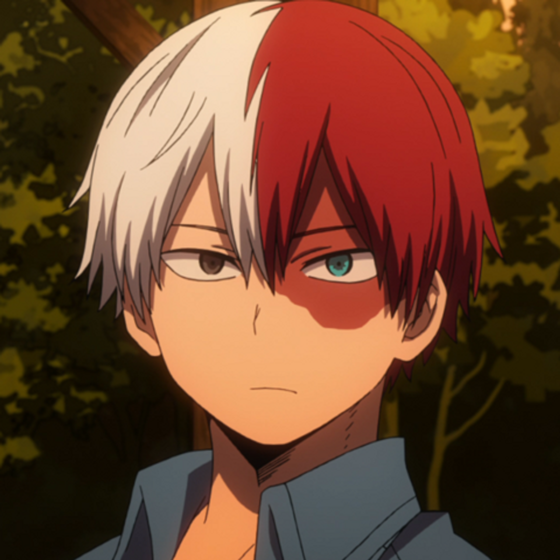 Fashion Shoto Todoroki