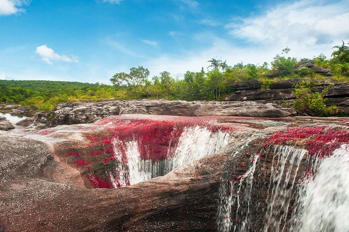 Place Caño Cristales