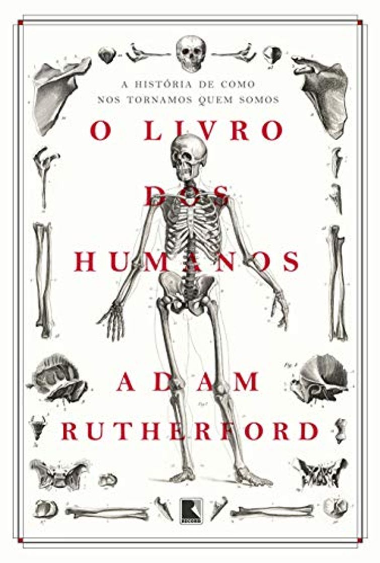 Book O Livro dos Humanos - A historia de como nos tornamos quem