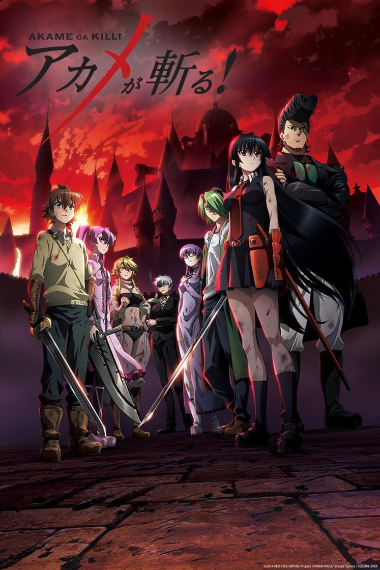 Fashion Akame ga Kill! 