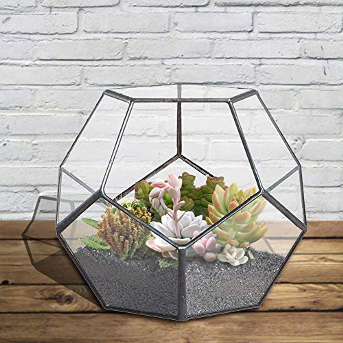 Product FJROnline Contenedor terrario de cristal terrario maceta grande alta para plantas suculentas helechos musgo