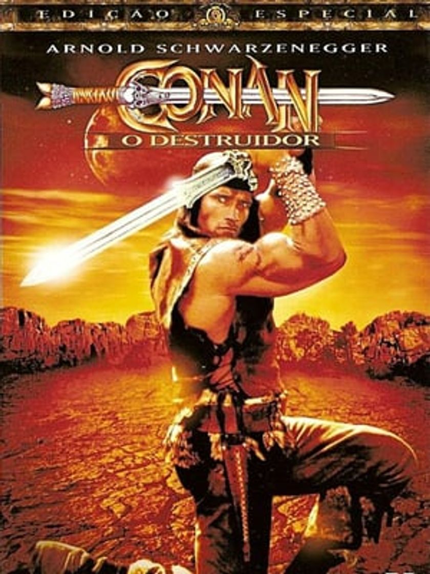 Película Conan, el destructor