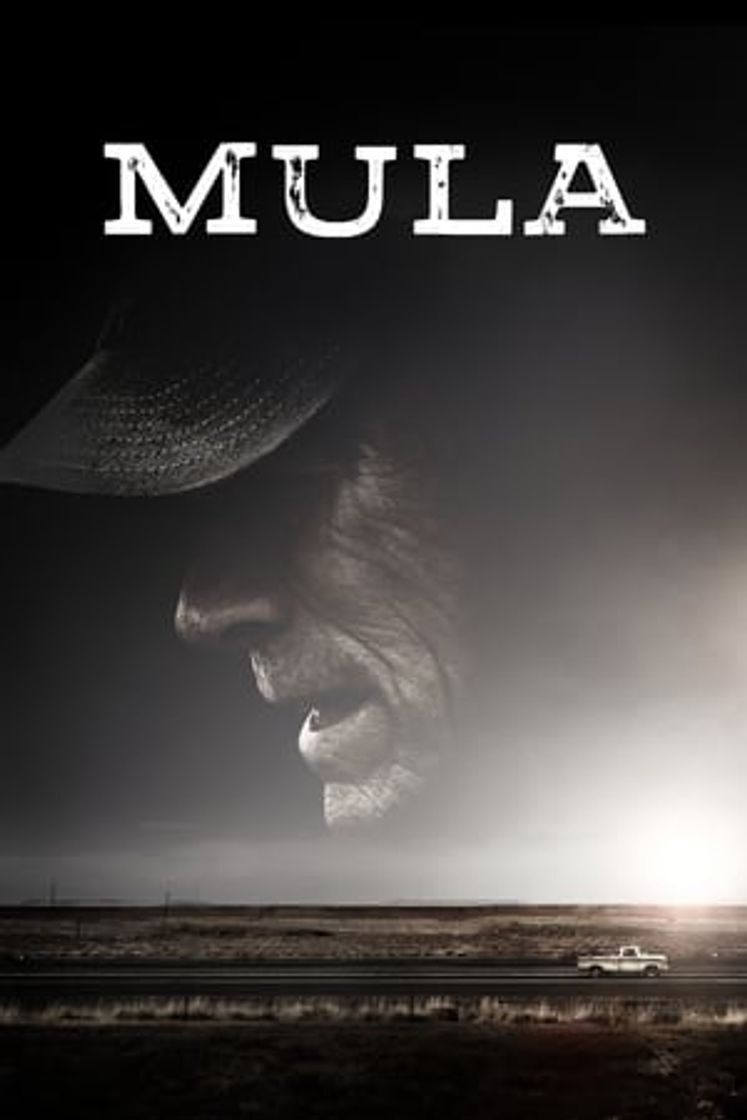 Movie Mula