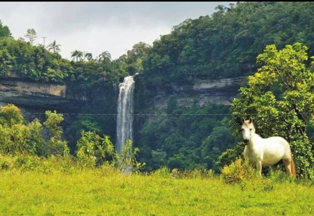 Place Cachoeira Salto do Zinco