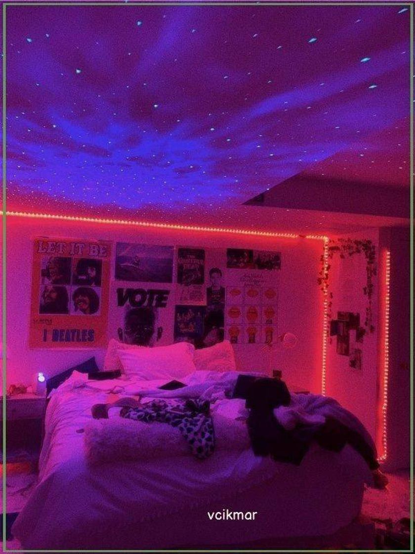Social Quarto