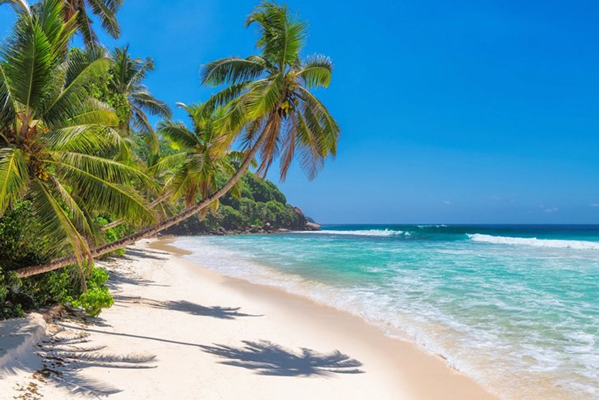 Place Jamaica
