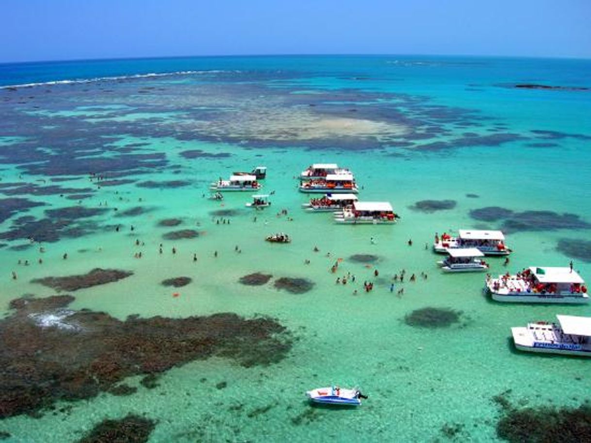 Lugar Piscinas Naturais de Maragogi - AL