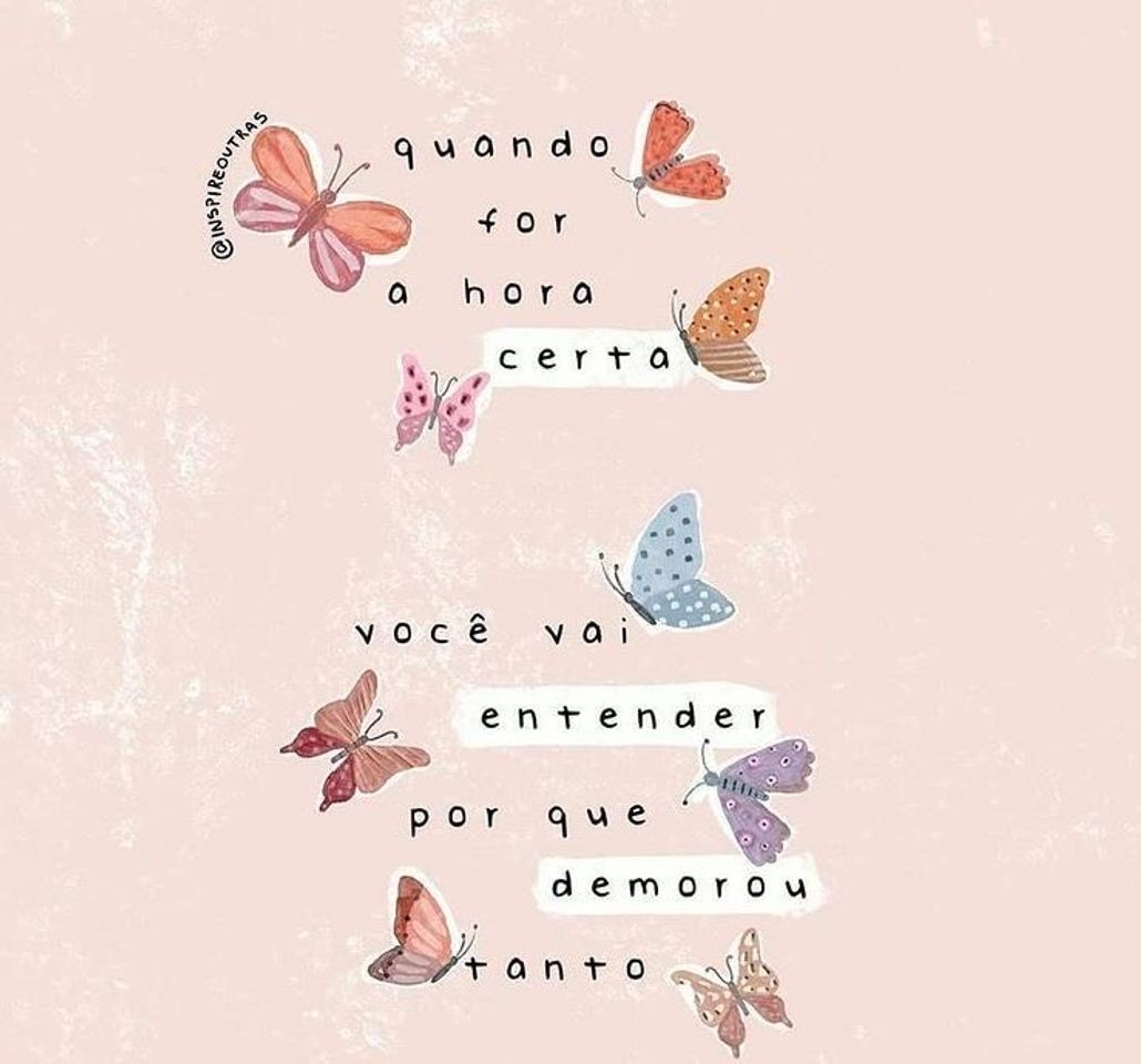 Fashion frases