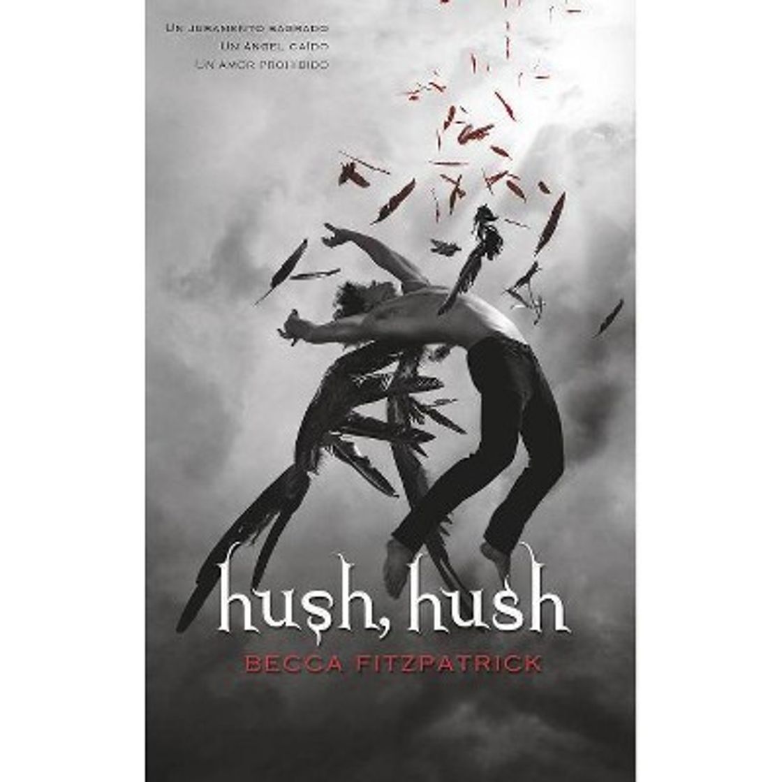 Libro Hush hush 