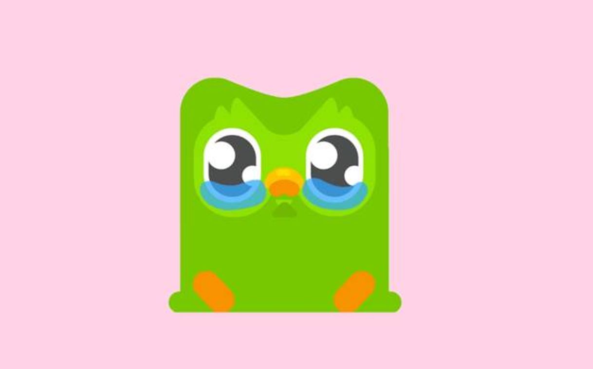 App Duolingo: aprende Idiomas