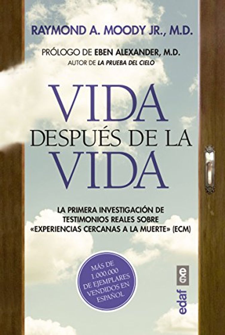 Libro Vida después de la vida