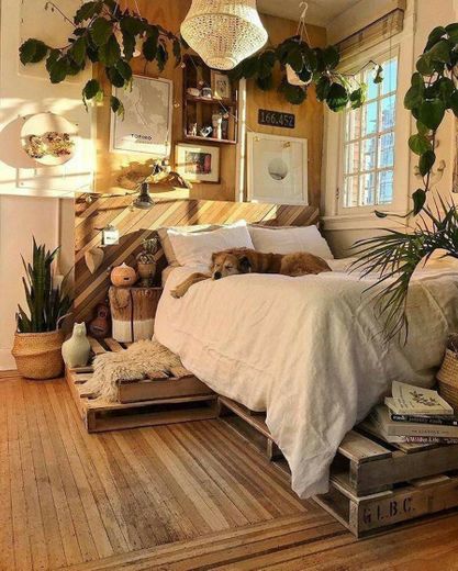 Room with puppy