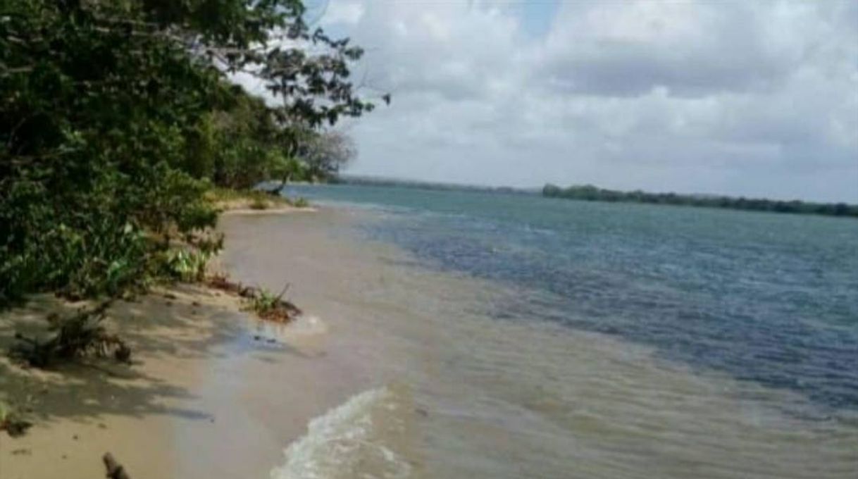 Ilha das Flores