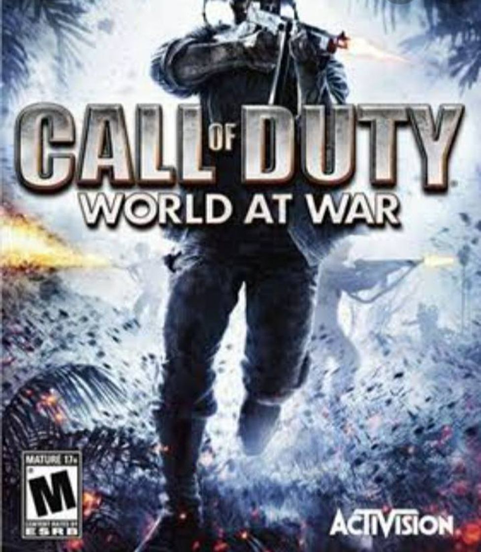 Videogames Call of Duty : World at War