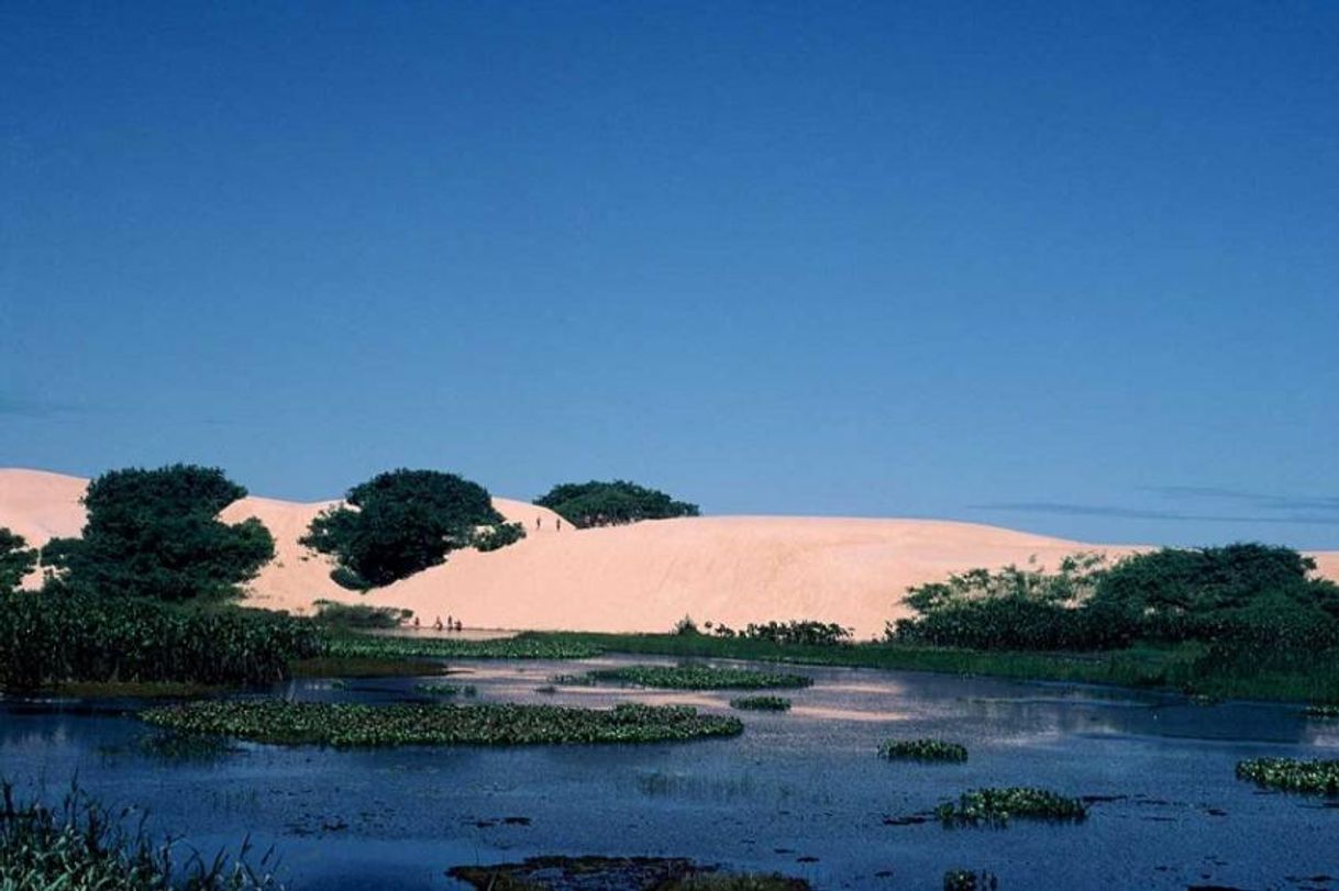 Place Itaúnas dunes