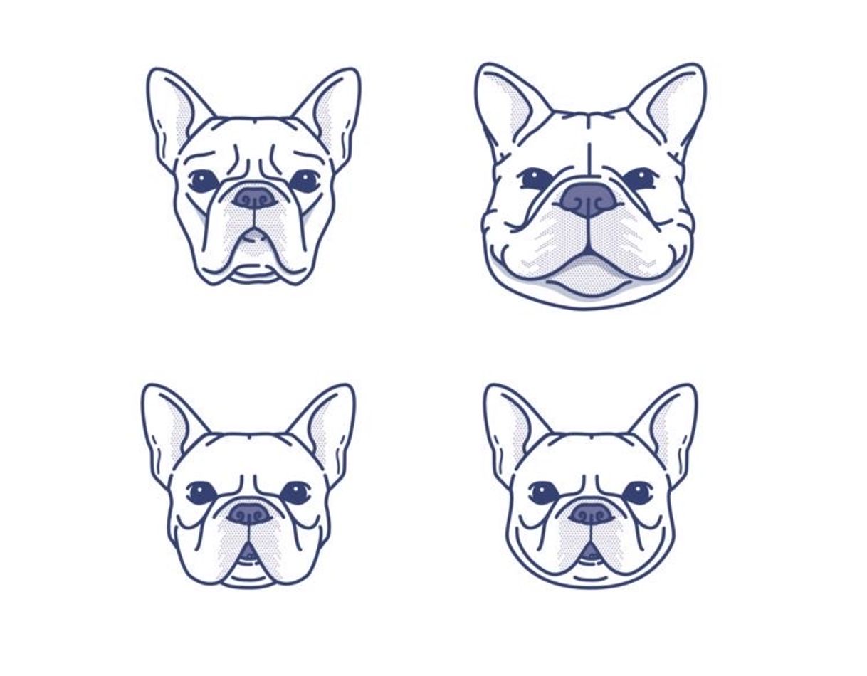 Moda As caras dos bulldogs frances 