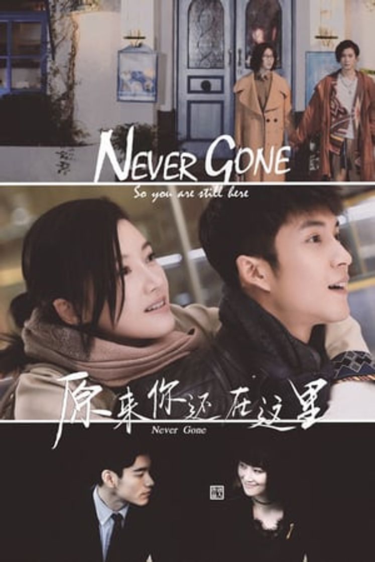 Serie Never Gone