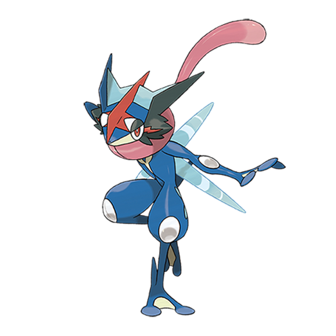 Fashion Greninja