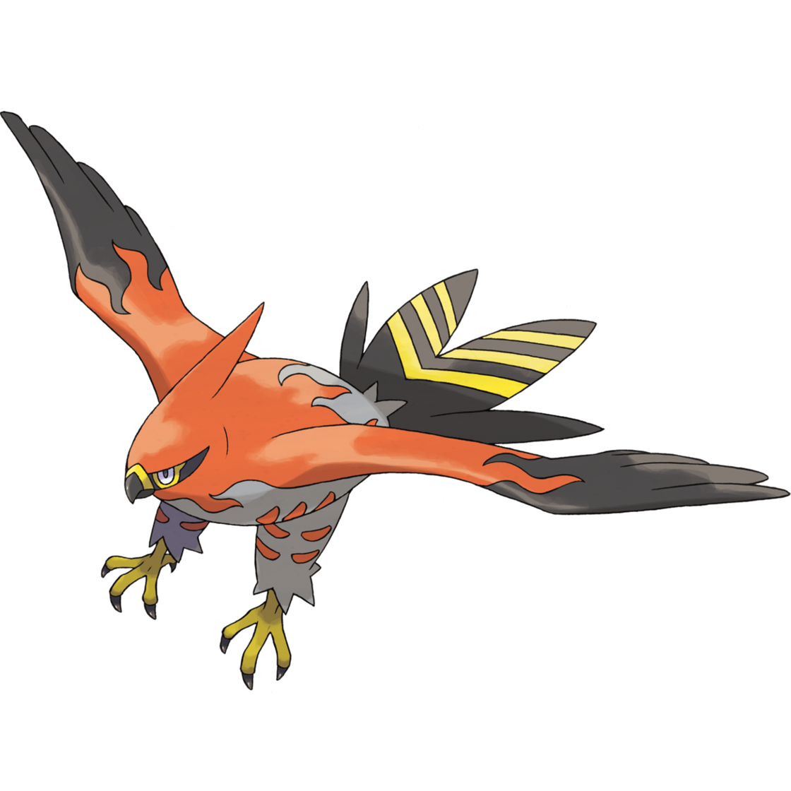 Fashion Talonflame