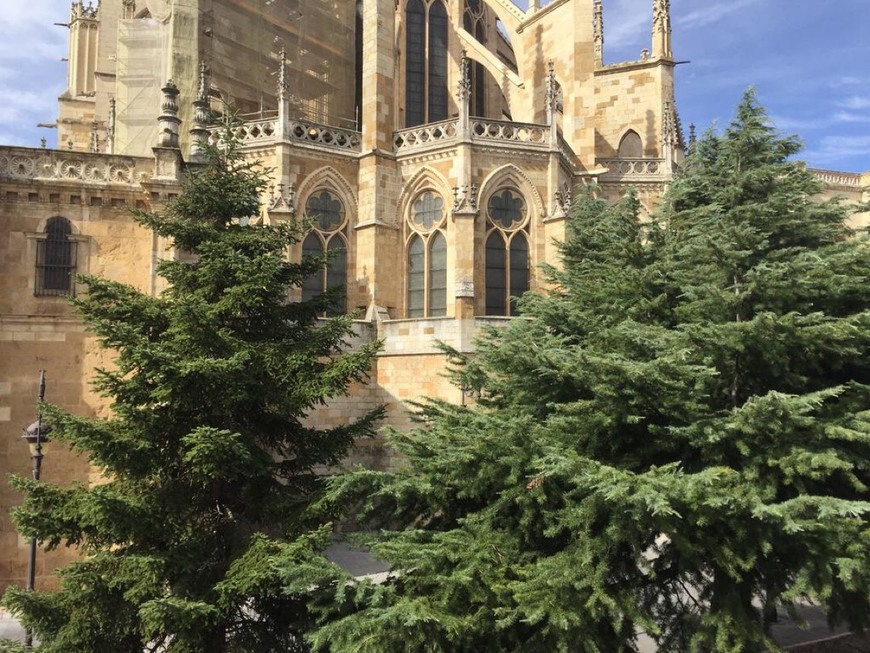 Place León