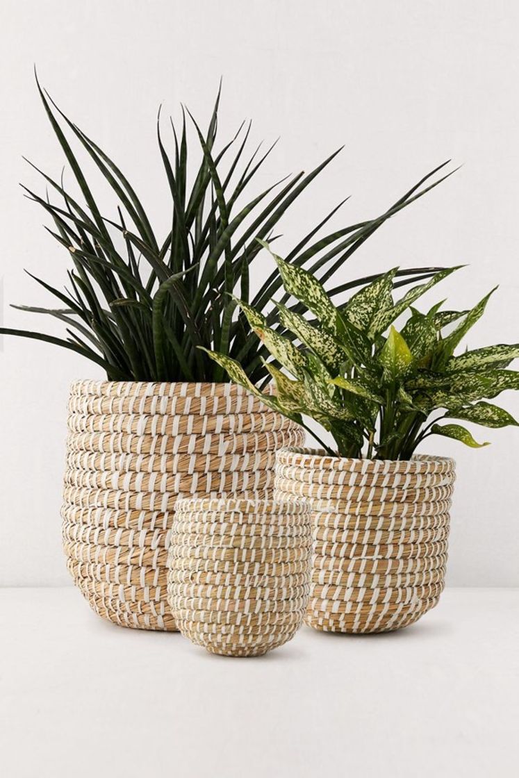 Producto Dia Natural Basket Planter