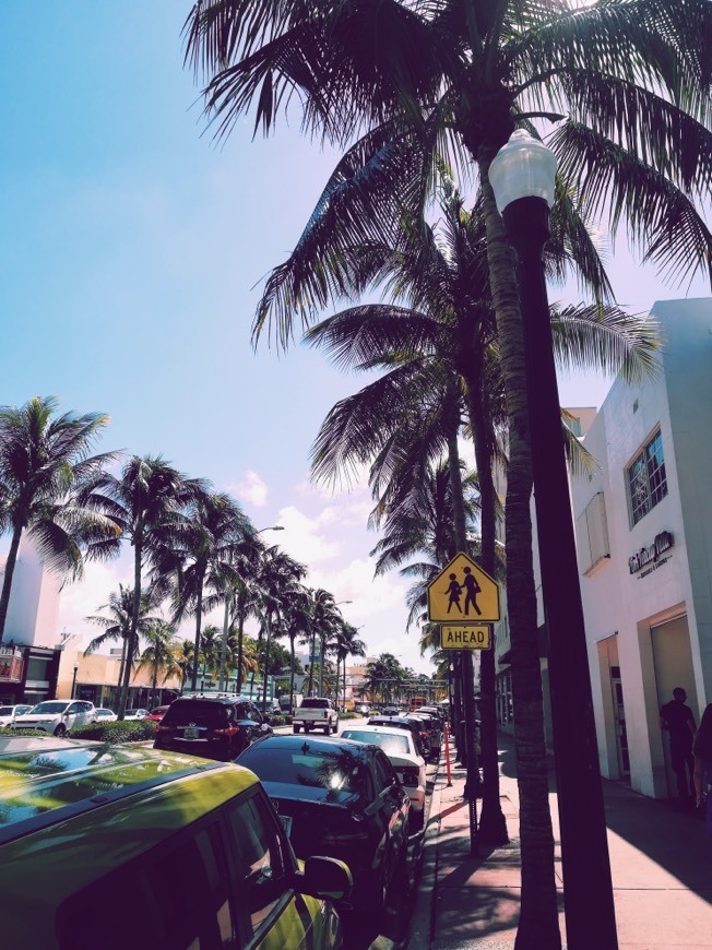 Lugar South Beach