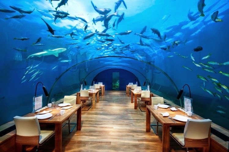 Fashion O restaurante perfeito - ilhas Maldivas 🐬🐟🌊