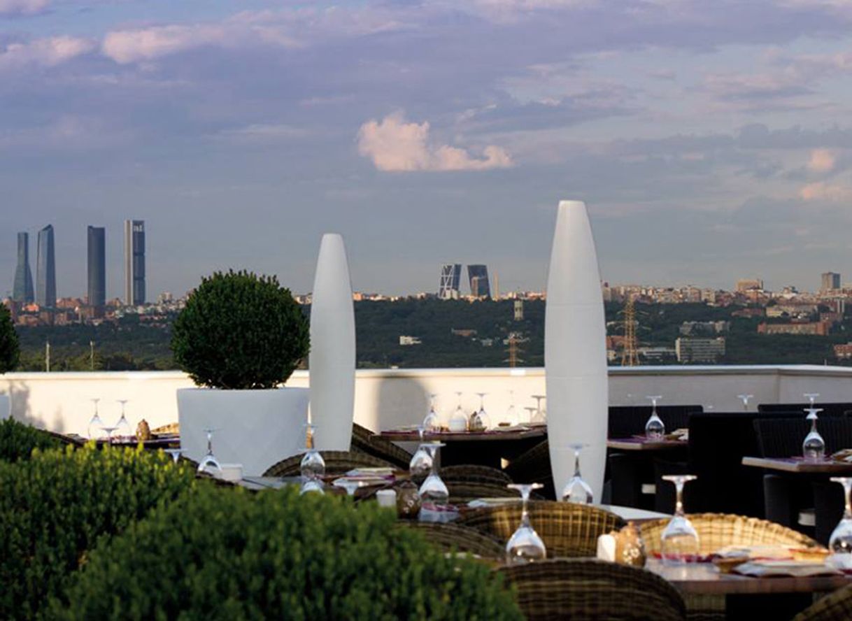 Restaurantes ZENITH