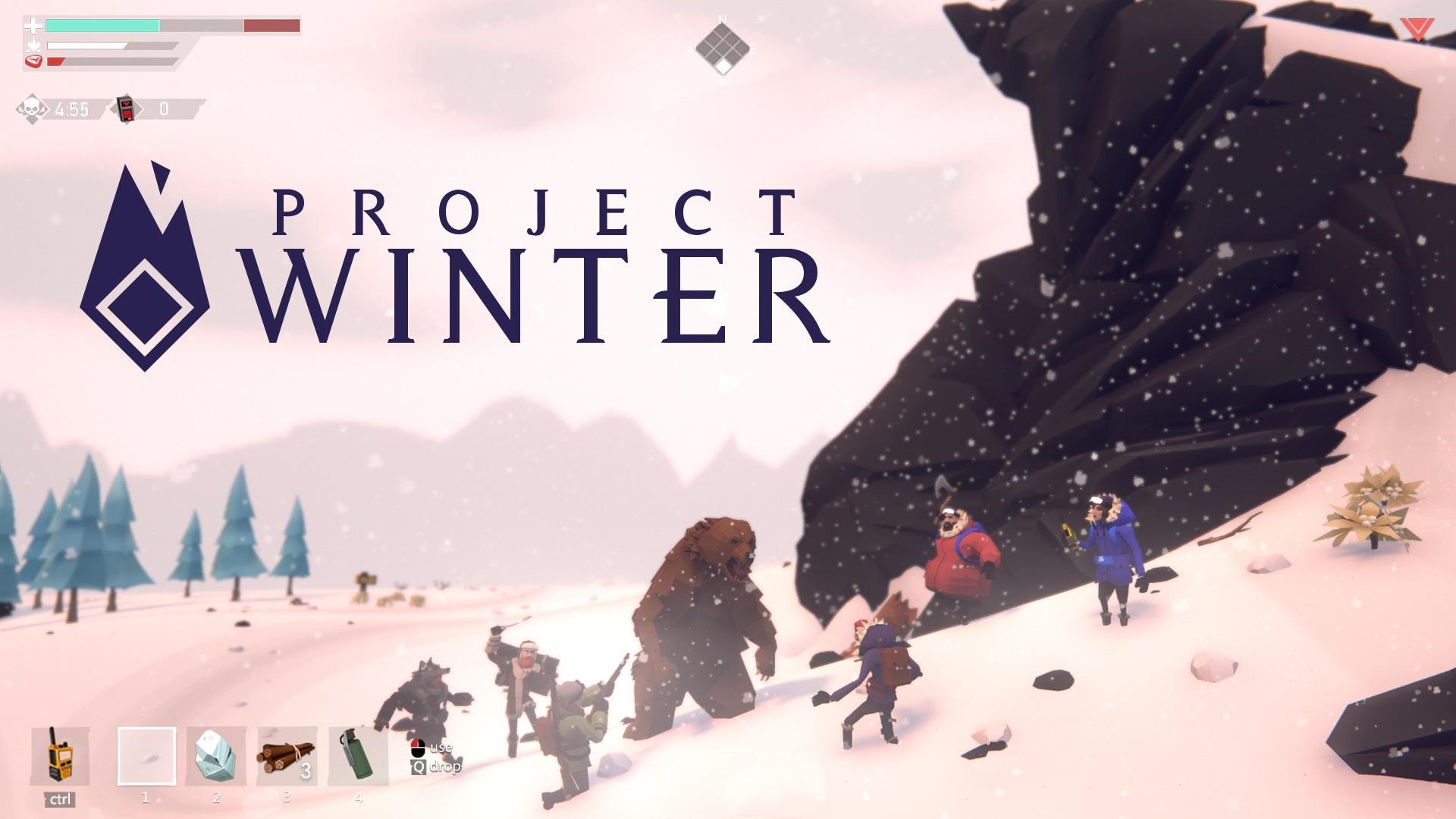 Project Winter