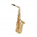 Social Sax Alto Dolphin


