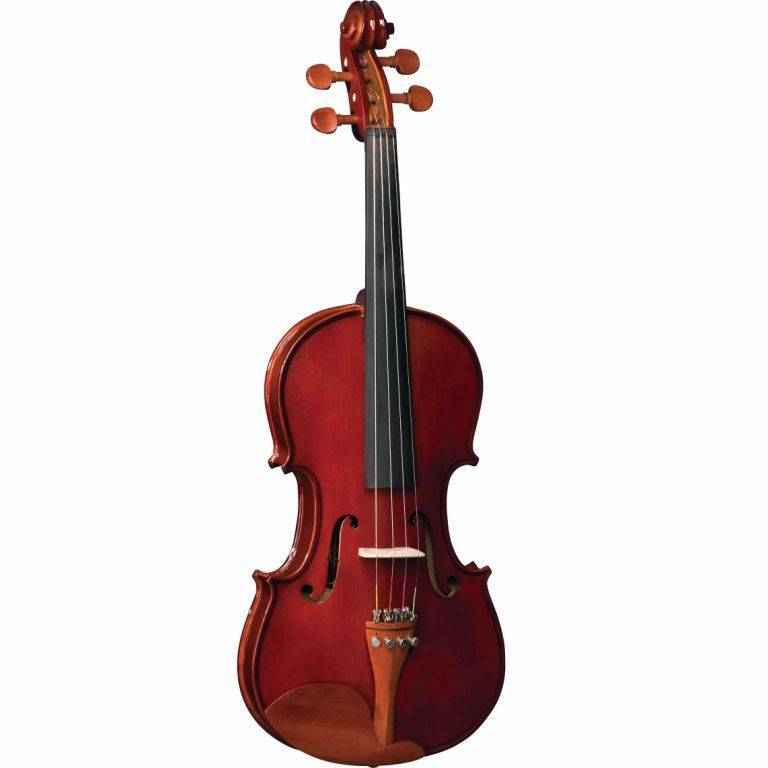 Social Violino