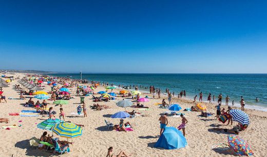 Praia da Costa da Caparica