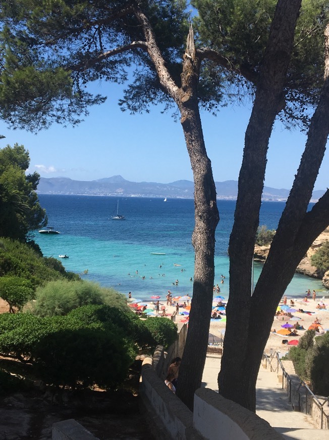 Lugar Palma de Mallorca