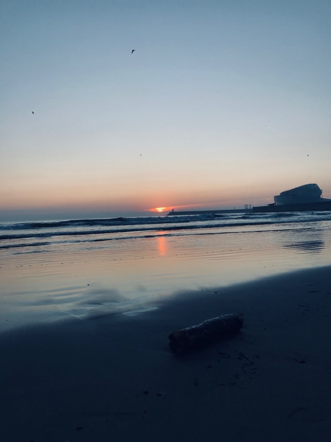 Lugar Matosinhos Beach