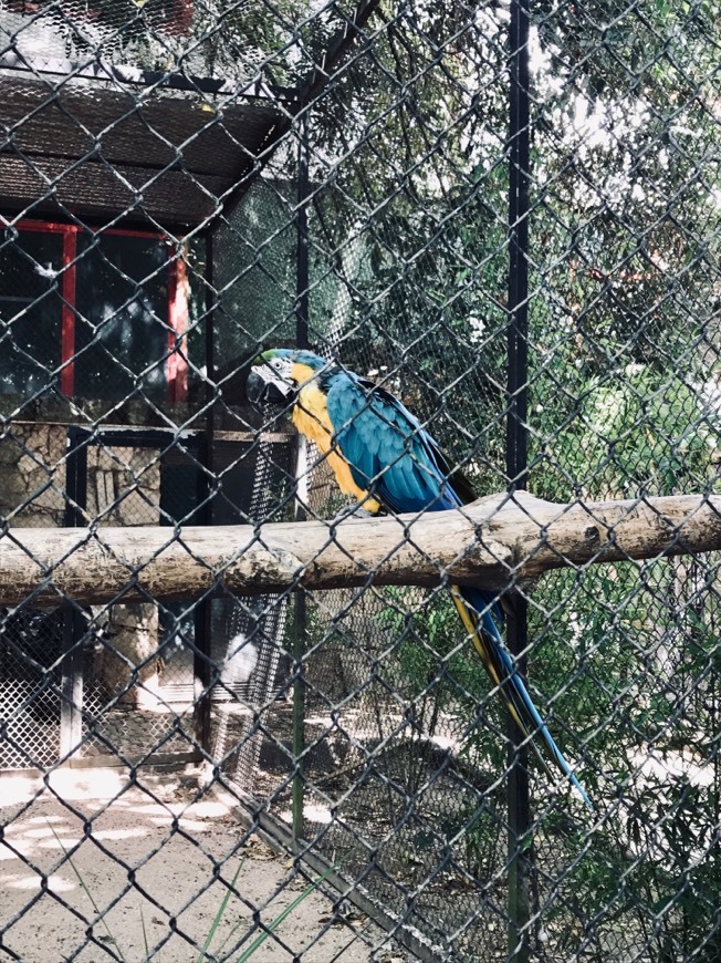 Place Zoo da Maia