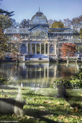 Palacio de Cristal