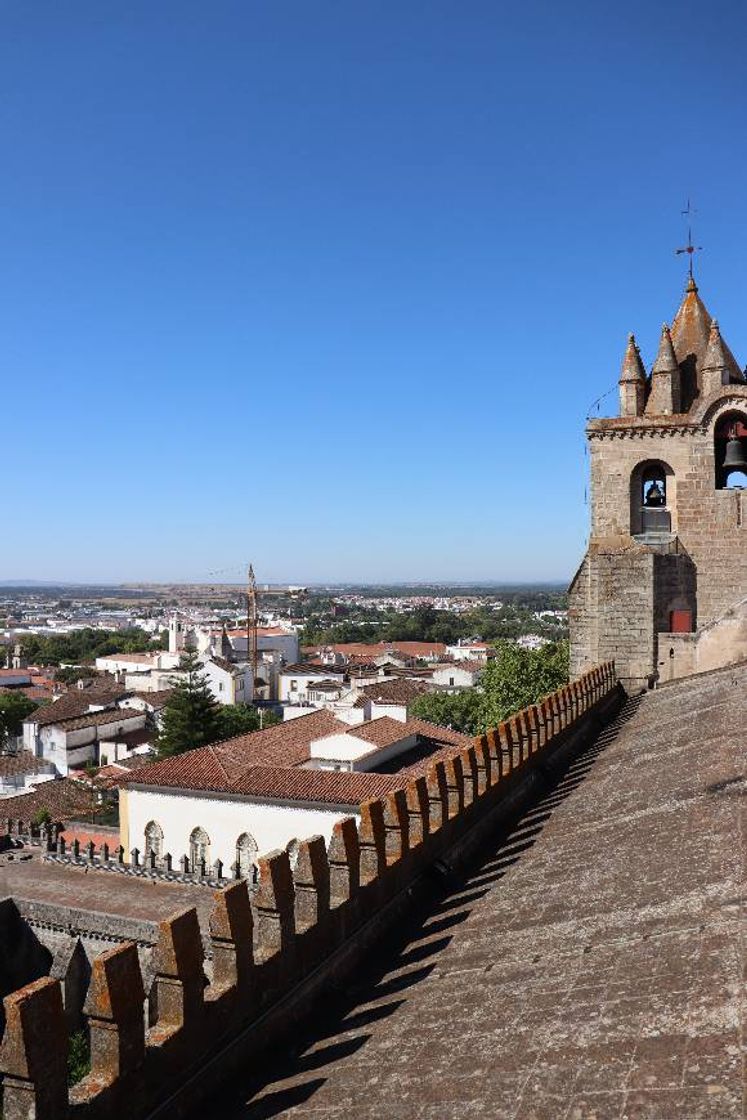 Lugar Claustro de la Catedral