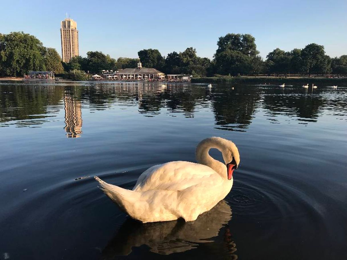 Lugar Hyde Park
