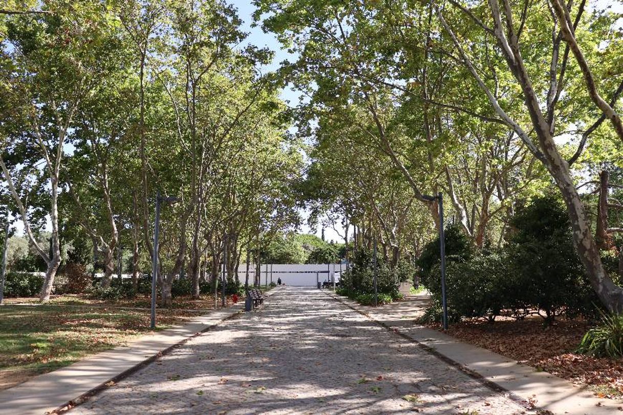 Lugares Parque Municipal de Loulé