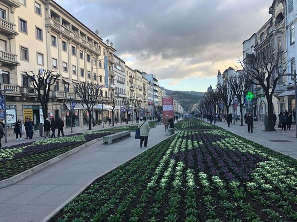 Lugar Avenida da Liberdade