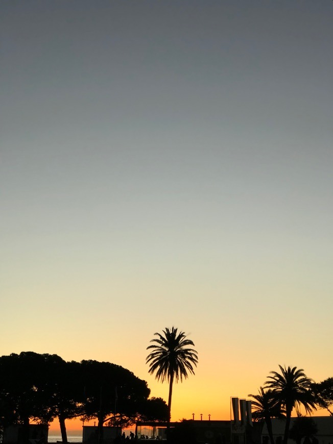 Lugar Torre de Belém