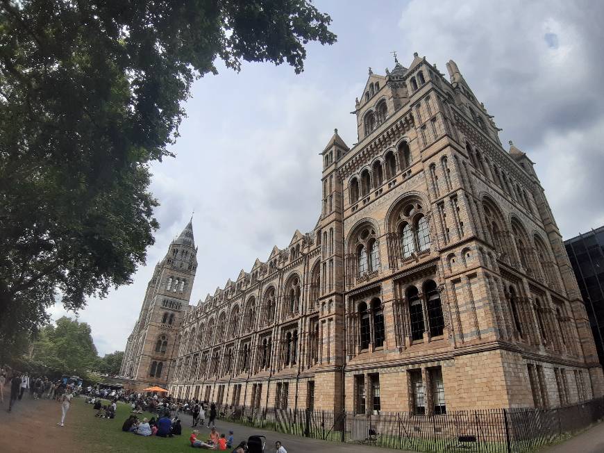 Lugar Museum of Natural History