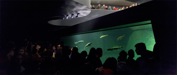 Lugar Museu Marítimo de Ílhavo e Aquário dos Bacalhaus