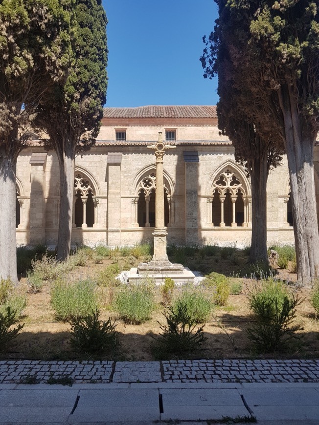 Place Catedral