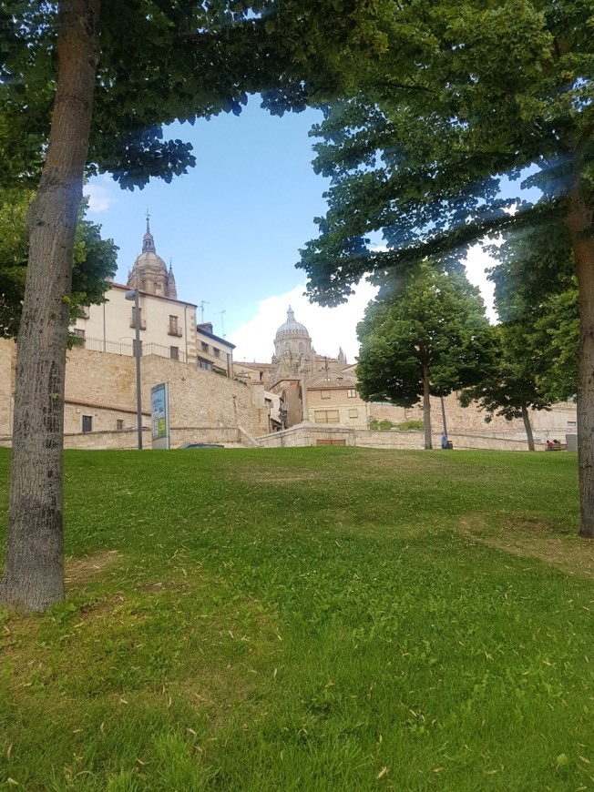 Place Paseo de San Gregorio