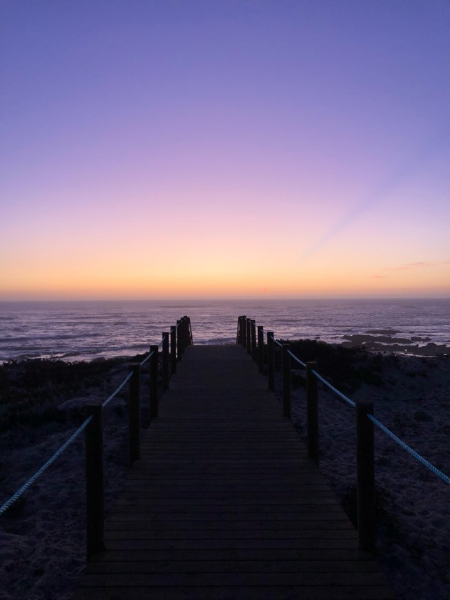 Lugar Paisagem Protegida Regional do Litoral de Vila do Conde e Reserva Ornitológica de Mindelo