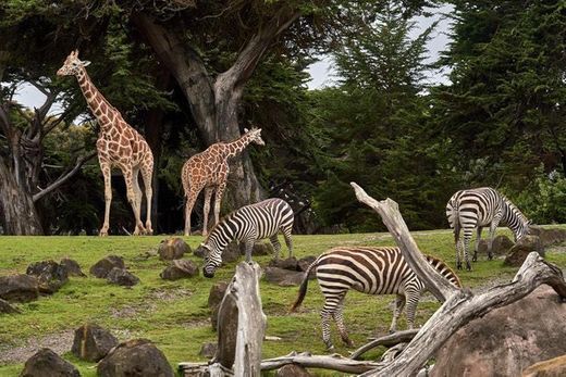 Jardim Zoológico